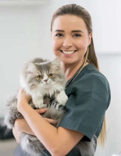 Внедрение ИИ в бизнес